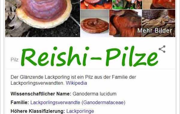 Heilpilze Reishi-Pilz ein Superfood? ©googlesuche