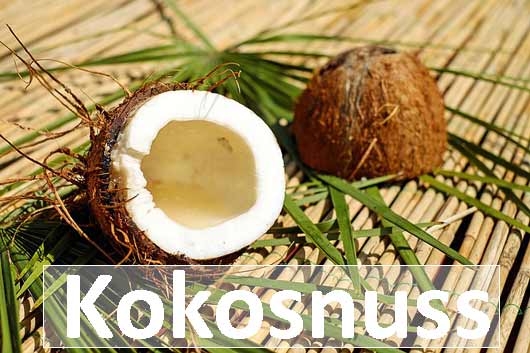 Kokosnuss Trivia natürlich und gesundes Lebensmittel was steckt drin?